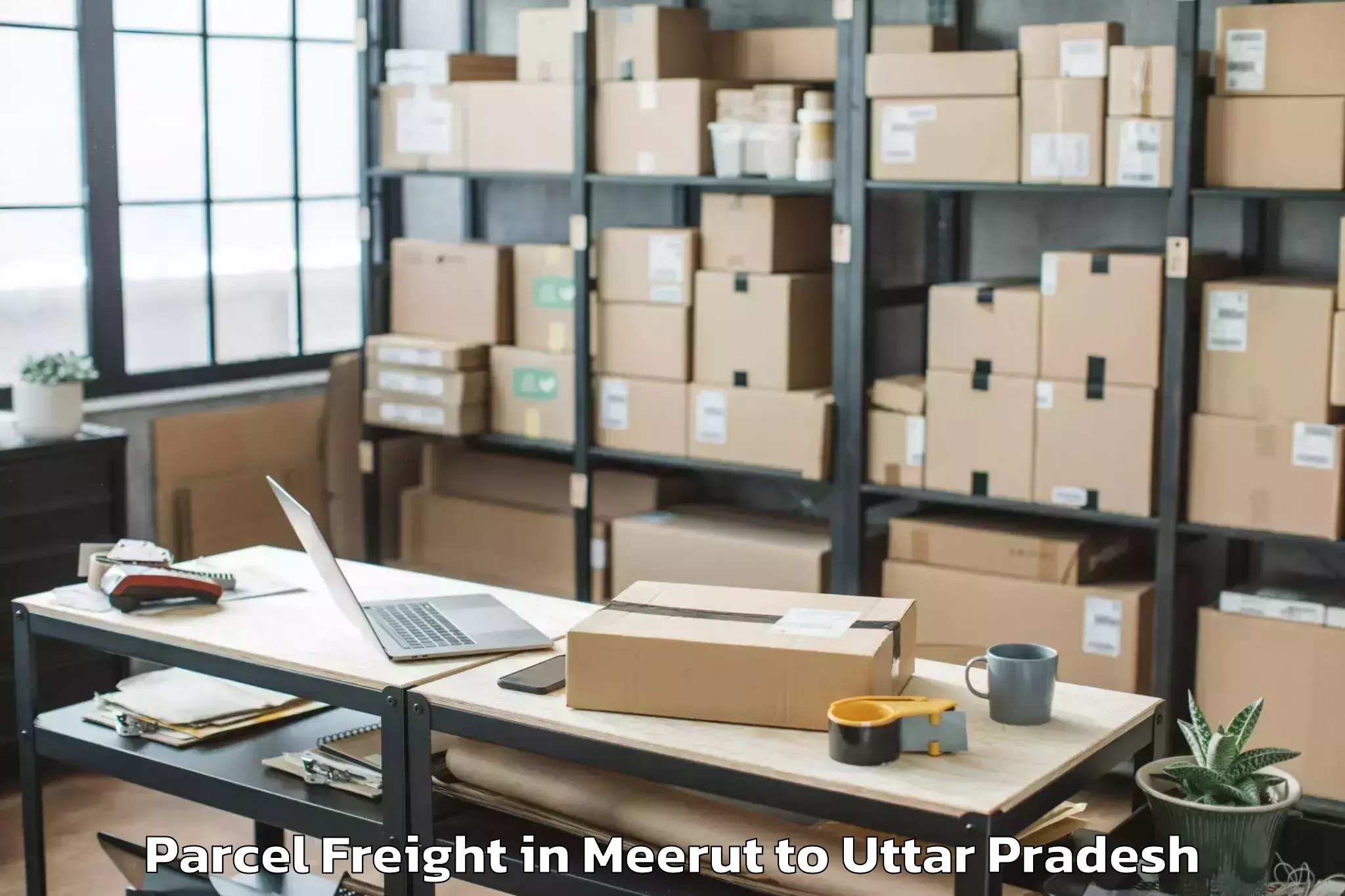 Easy Meerut to Gaur City Mall Greater Noida Parcel Freight Booking